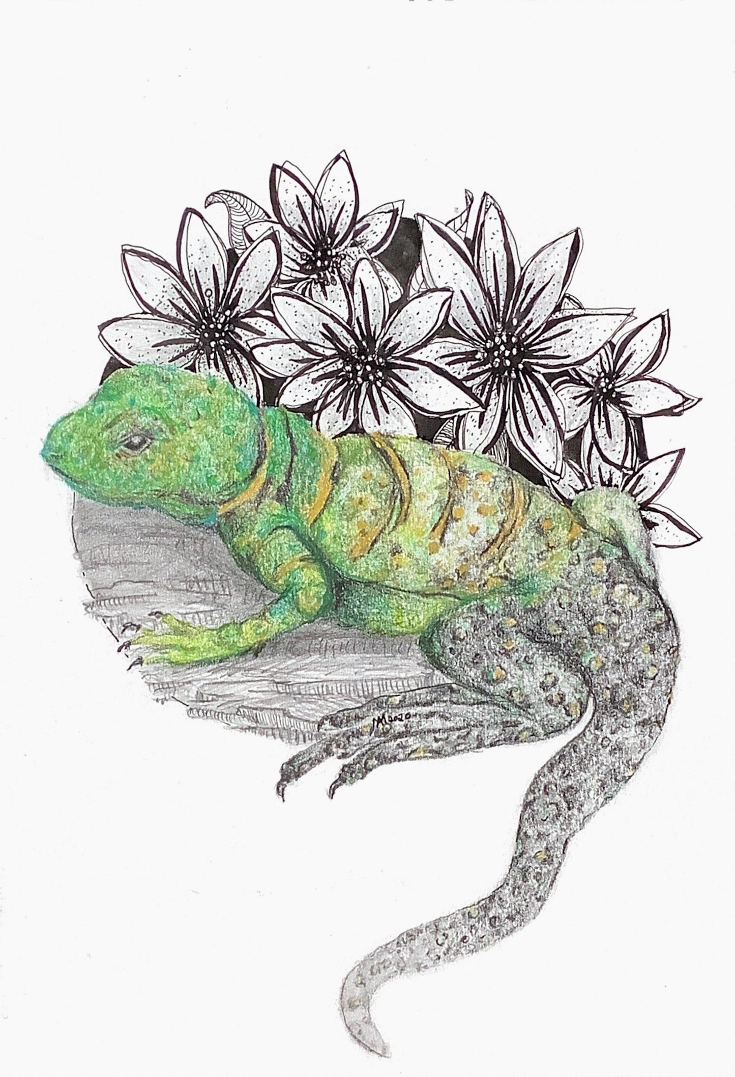 Lizard, 4 x 6 postcard