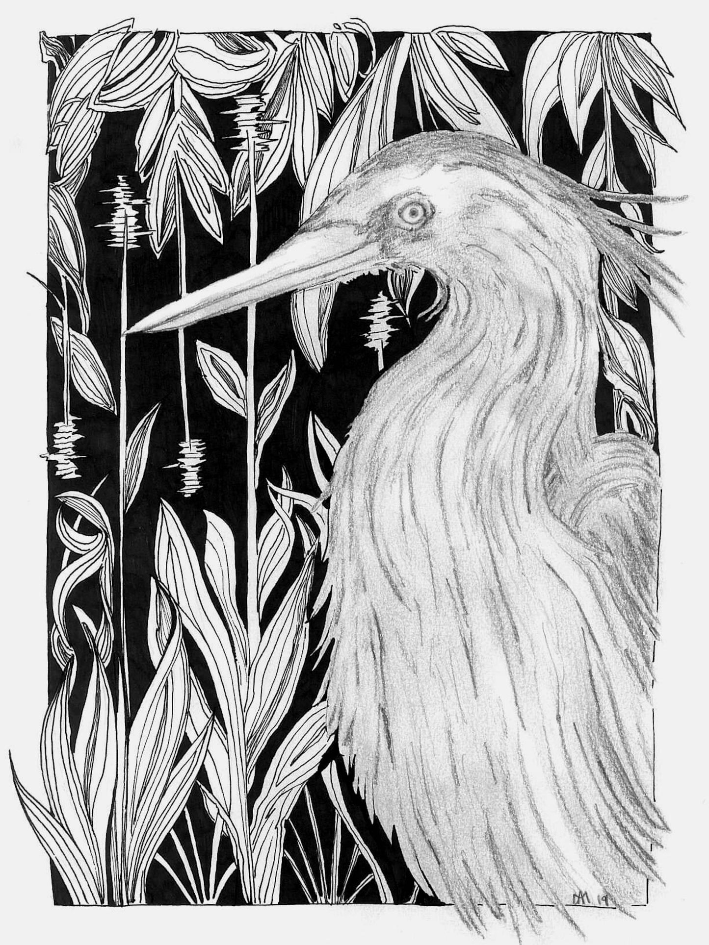 Heron, 4 x 6 postcard