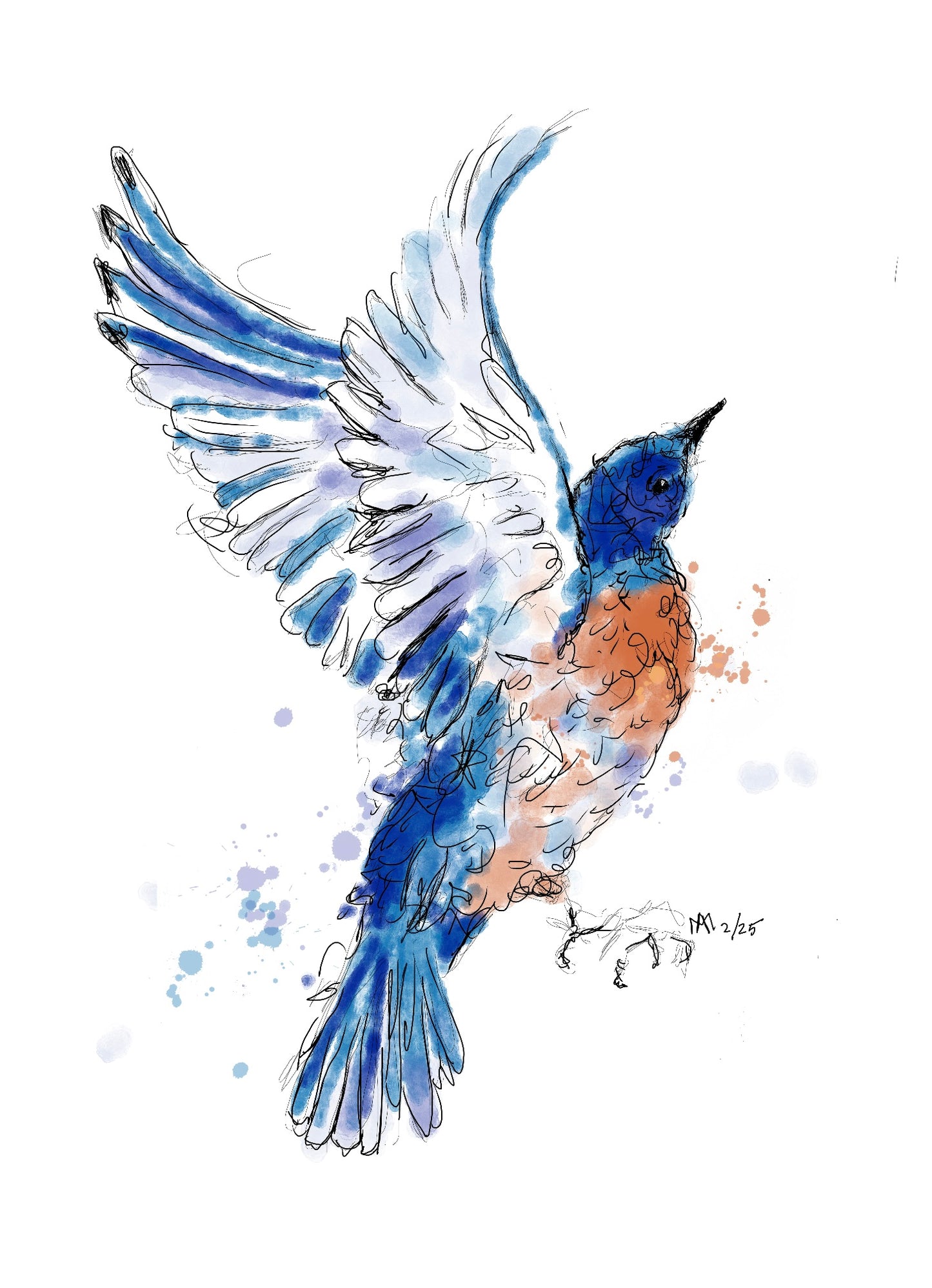 Bluebird Print