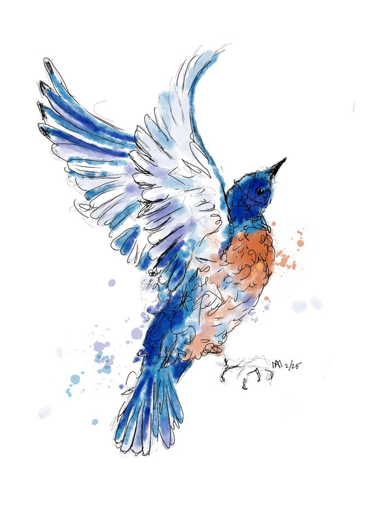 Bluebird Print